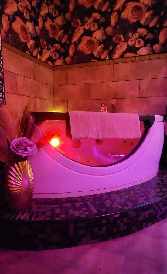 Gîte pour 2 personnes, avec jardin et jacuzzi à Lunéville - 2