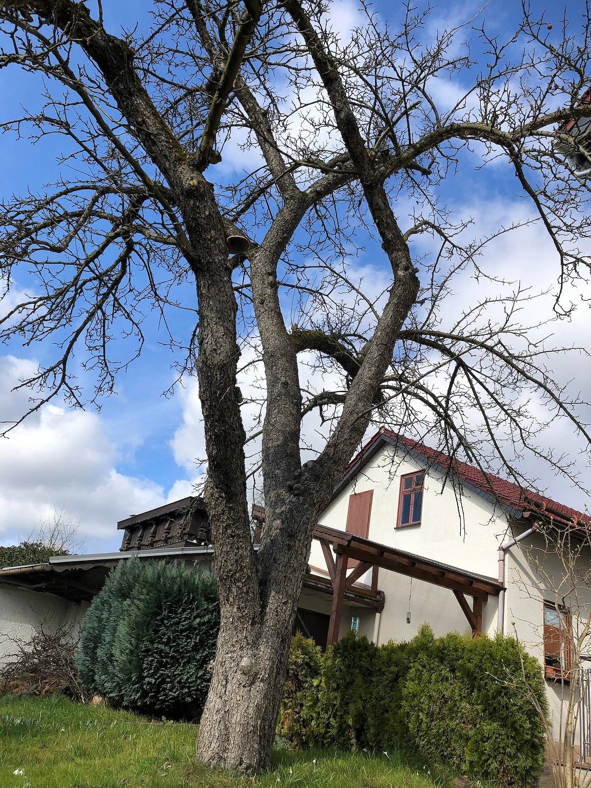 Ganze Ferienwohnung, Ferienwohnung Familie Tröger in Floh-Seligenthal, Rennsteig