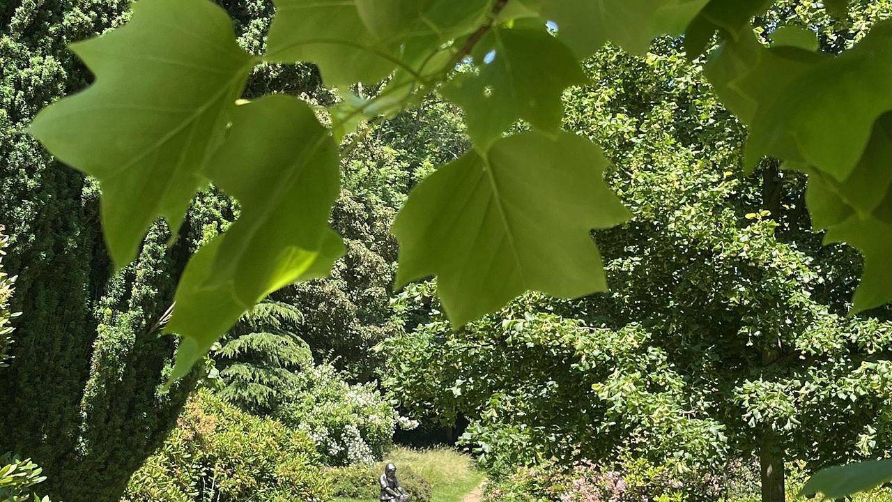 Ganze Ferienwohnung, Ferienwohnung für 2 Personen (45 m²) in Dippoldiswalde in Dippoldiswalde, Osterzgebirge