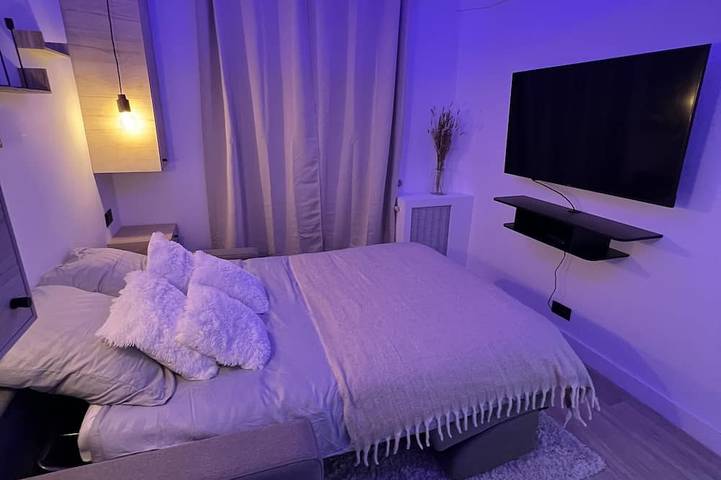 Gîte pour 2 personnes, animaux acceptés à Joinville-le-Pont - 2