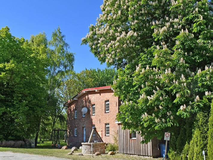 Ferienwohnung für 5 Personen, mit Terrasse und Garten, mit Haustier in Altefähr - 4