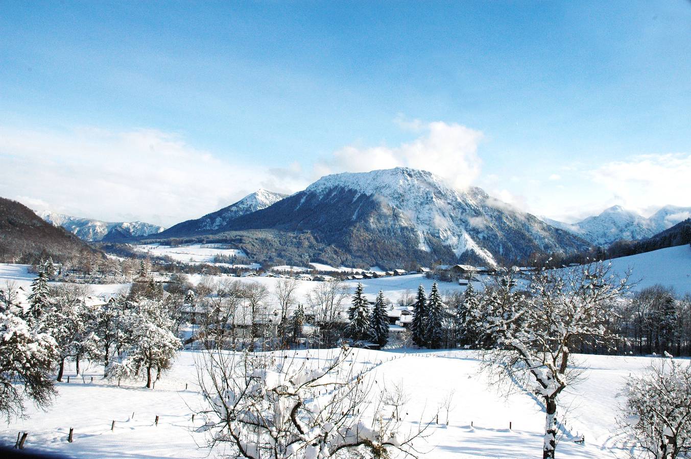 Ganze Ferienwohnung, Dammerer Hof inkl. Chiemgaukarte - Ferienhäuschen 30qm, Terrasse, Küche, 1 Wohn- Schlafzimmer, max 2 P. Wlan in Ruhpolding, Bayerische Alpen