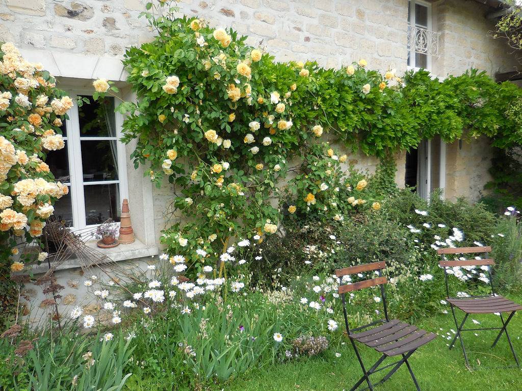 Gite Les Fleurs en Liberté in Oise