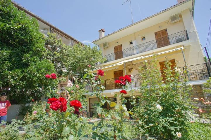Gîte pour 2 personnes, avec balcon ainsi que jardin et vue, animaux acceptés dans Agios Ioannis (Zagora–Mouresi) - 2