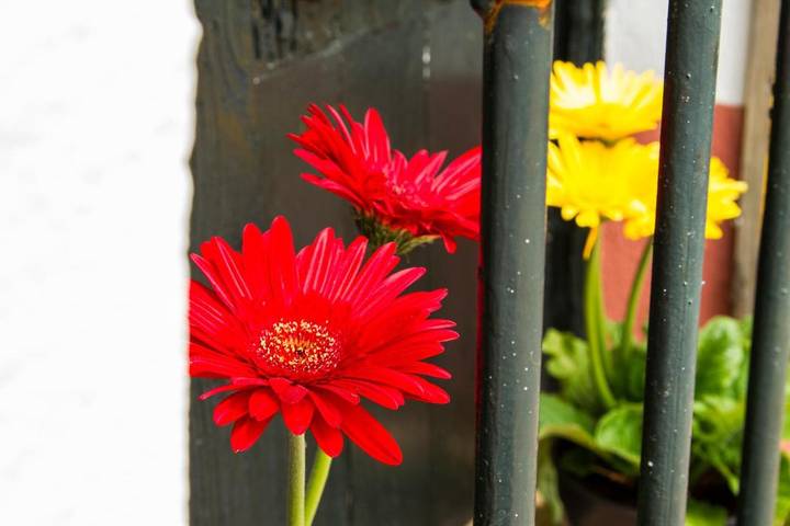 Casa rural para 11 personas, con terraza y jardín además de vistas y piscina en Almonaster la Real - 4