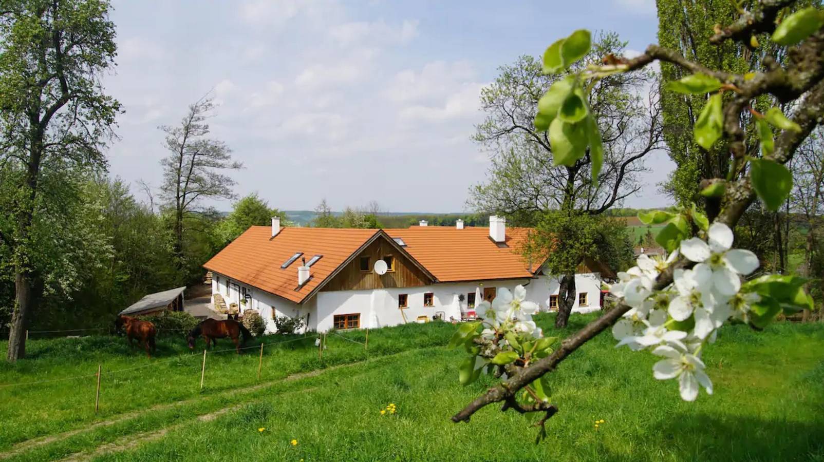 Chalet 'Feinis' mit privater Terrasse, privatem Garten und Wlan in Kirchstetten (Wienerwald), Traisental