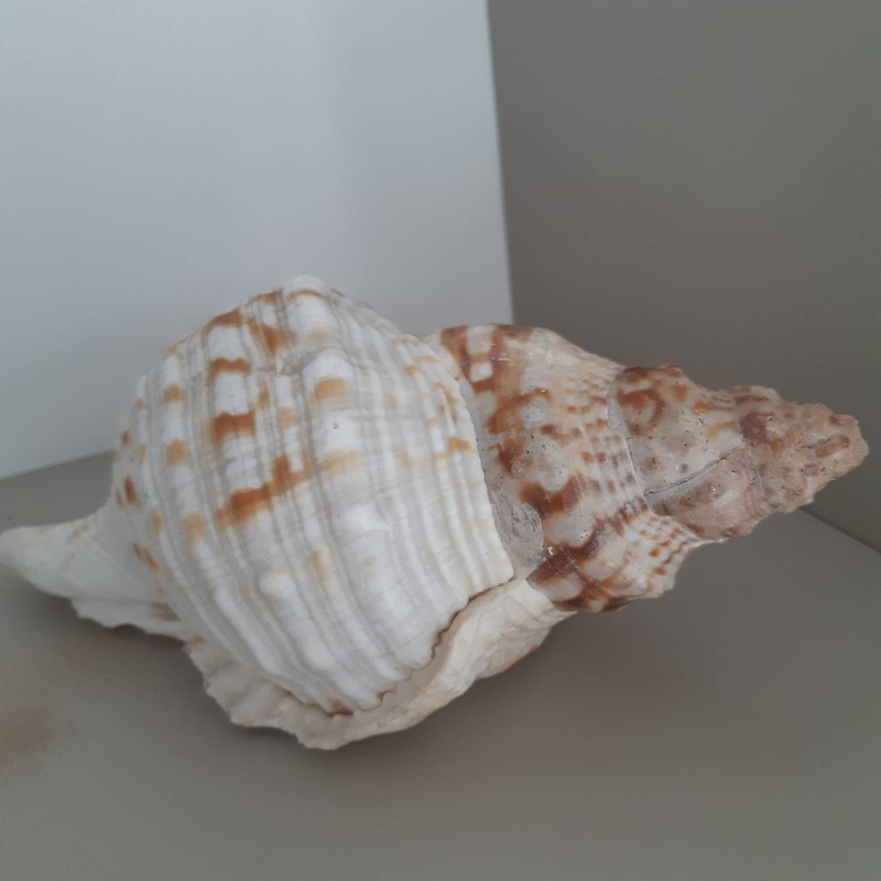 Maison de vacances 'Logde Mer' avec Wi-Fi in Concarneau, Côte de Cornouaille