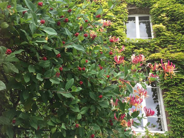 Chambre d’hôte pour 2 personnes, avec jardin en Seine-Maritime - 4