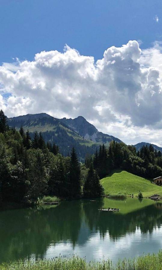 Geheel appartement, Apartment in Sonntag, Bezirk Bludenz