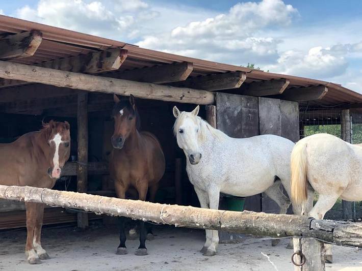Casa rural para 10 personas, con jardín y balcón además de jacuzzi y piscina en Provincia de Barcelona - 2