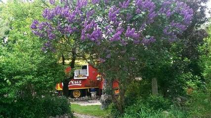 Vakantiewoning voor 4 Personen in Eldetal, Müritz, Afbeelding 3