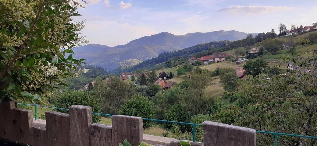 Location de vacances pour 6 personnes, avec sauna ainsi que vue et jardin à Geishouse - 3