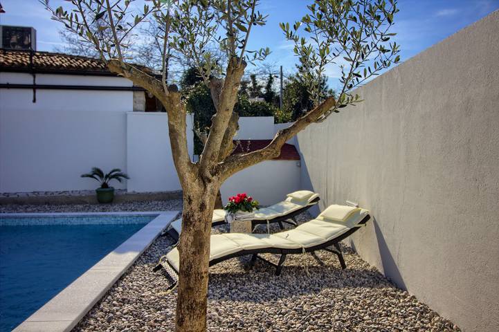 Ferienhaus für 5 Personen, mit Pool und Terrasse, mit Haustier in Sisan - 2