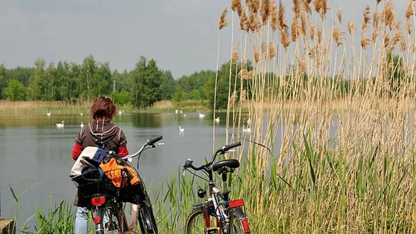 Ferienhaus für 4 Personen, mit Garten, mit Haustier in Neukalen - 4