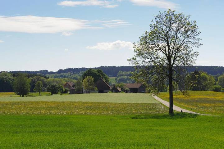 Ferienwohnung für 6 Personen, mit Terrasse und Garten sowie Ausblick in Wolfegg - 2