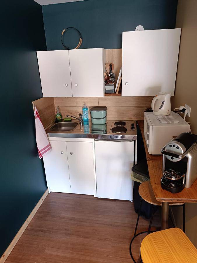 Gîte pour 2 personnes, avec jardin et terrasse, animaux acceptés à Cosne-Cours-sur-Loire - 4