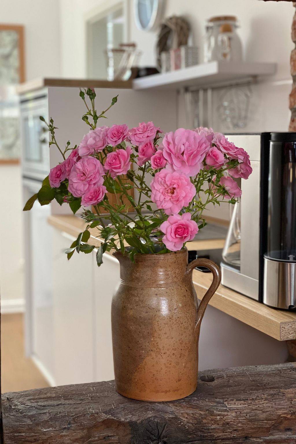 Ganze Wohnung, Gemütliche Wohnung in Hameln mit Garten in Hameln, Weserbergland