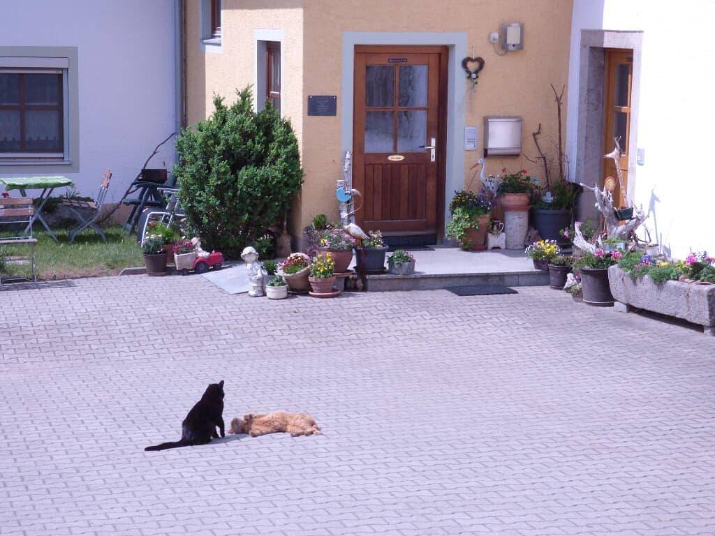 Gillingerhof - Fw Hofblick, foto 6