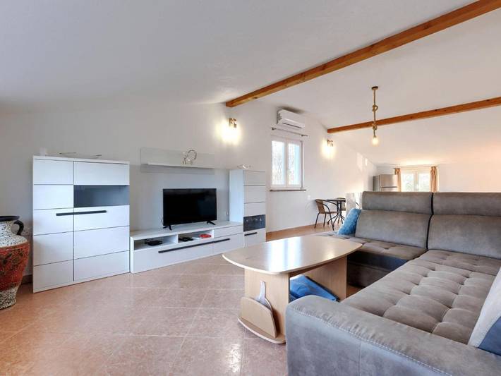 Location de vacances pour 10 personnes, avec terrasse ainsi que jardin et piscine dans Petrovija - 3