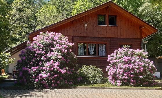 Ganze Ferienwohnung, Feriendorf "Am Forsthaus" Mosbach - Forsthaus (60 qm - Wohnzimmer, 2 Schlafzimmern, Küche Bad auf 2 Etagen - max. 4 Pers.+ Kleinkind) in Wartburg, Wutha-Farnroda