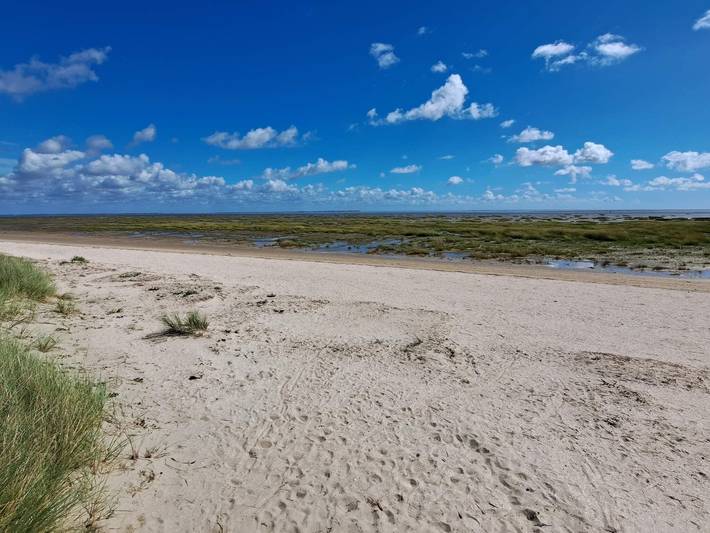 Ferienhaus für 8 Personen, mit Balkon und Whirlpool sowie Terrasse und Garten auf Fanø - 4