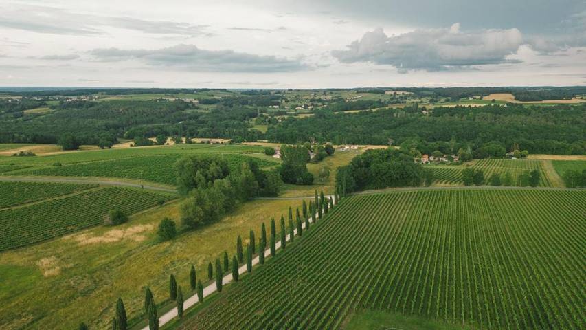 Gîte pour 3 personnes, avec terrasse et vue, animaux acceptés à Ligueux - 4