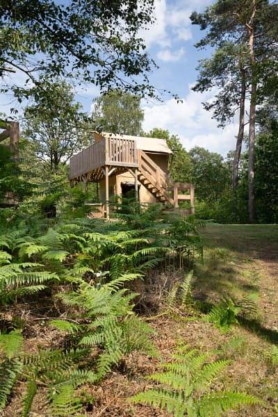 Rcn de Noordster — Safarizelt Poolster in Nationalpark Dwingelderveld