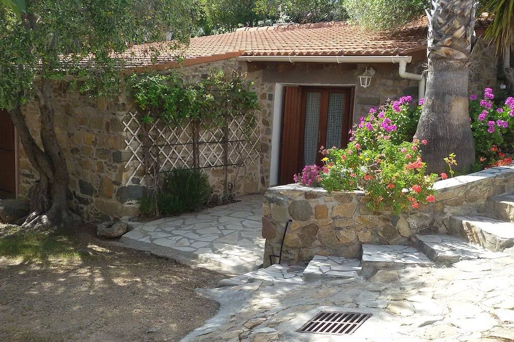 House / Villa - Calvi in Calvi, Calvi region
