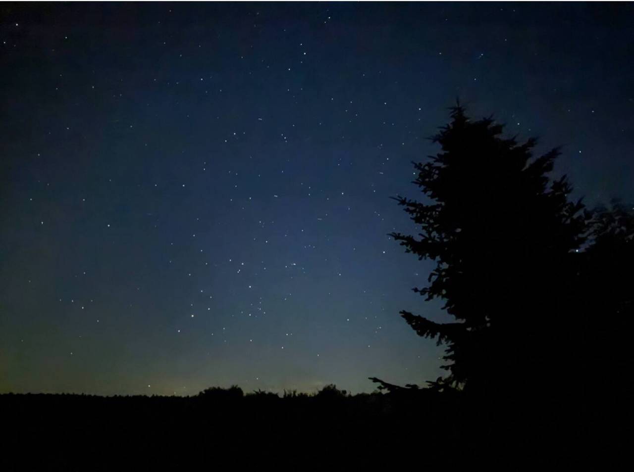 Ganzes Studio, Studio 'Black Forest Stüble' mit privatem Garten und Wlan in Loßburg, Mittlerer Schwarzwald