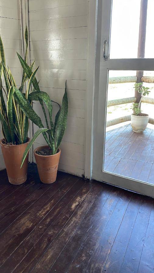 Location de vacances pour 8 personnes, avec balcon ainsi que jacuzzi et piscine dans Jericoacoara - 4