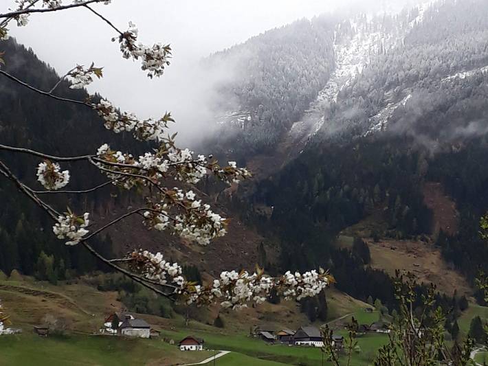 Ganze Ferienwohnung, Ederhof - Appartement "Schaf" in St. Nikolai im Sölktal, Tauern