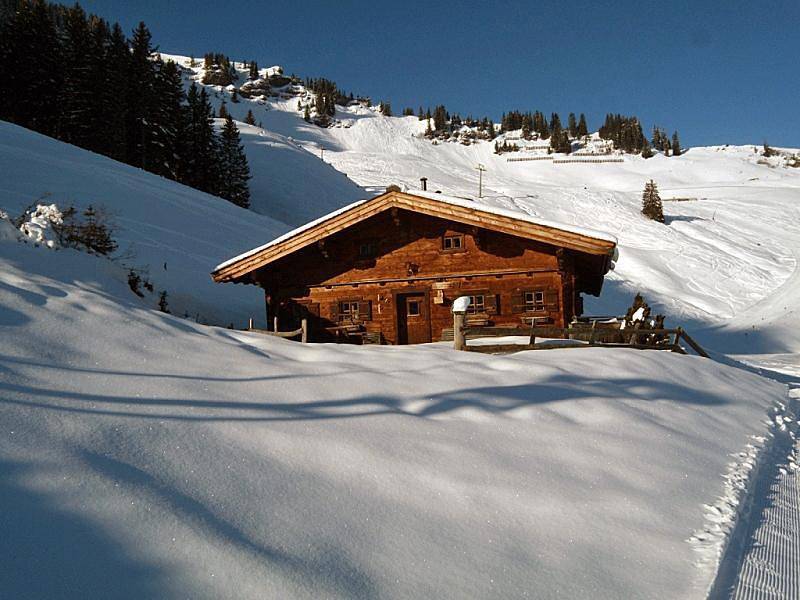 Geheel vakantieappartement, Almliesl Mari-271 in Maria Alm, Pinzgau