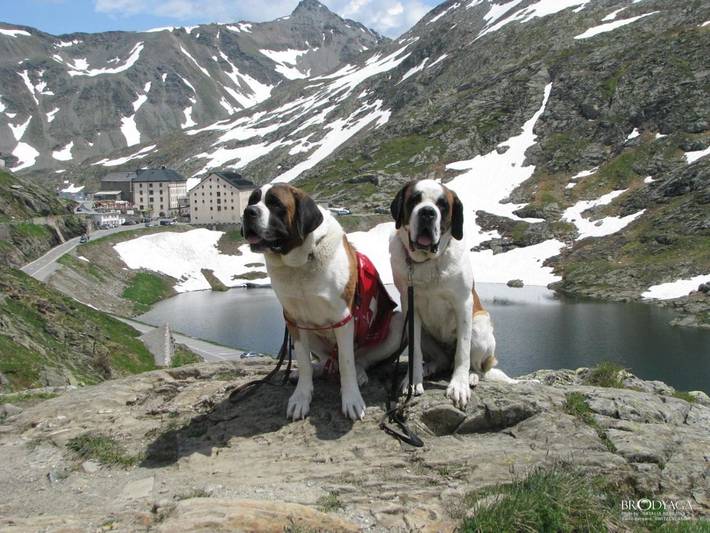 Hôtel pour 4 personnes, avec terrasse à Bourg-Saint-Pierre - 4