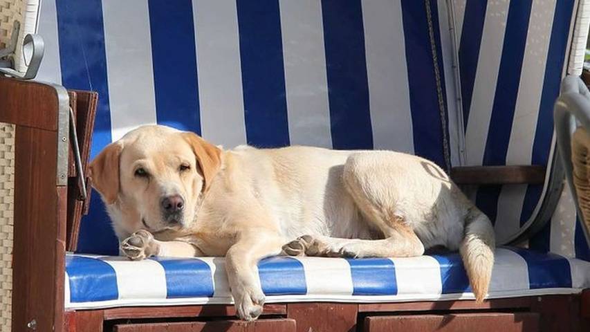 Ferienhaus für 6 Personen, mit Terrasse und Garten in Geltinger Bucht - 4