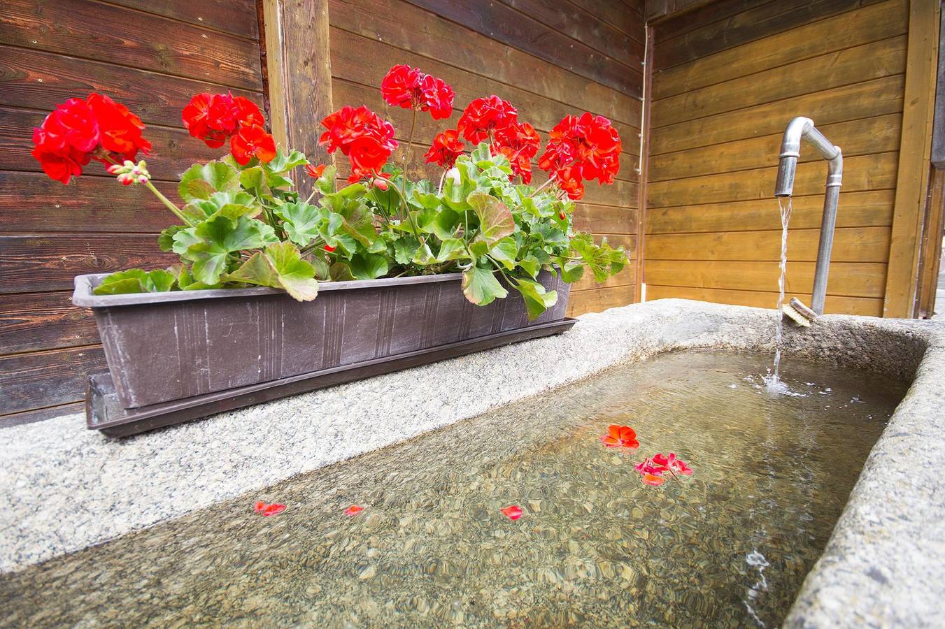 Chalet Waldstadl/ Andrea's Woidhaisl - Andreas Woidhaisl in Arnbruck, Baviera Oriental