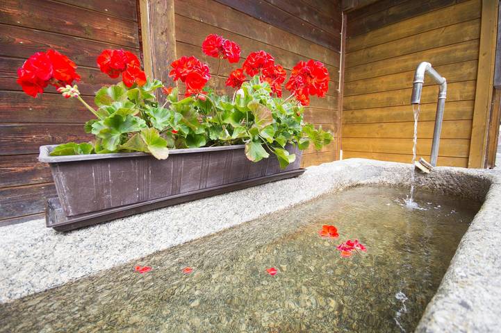 Chalet für 3 Personen, mit Terrasse und Sauna sowie Garten, kinderfreundlich in Niederbayern - 4