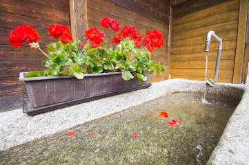 Ferienhaus für 4 Personen in Arnbruck, Vorderer Bayerischer Wald, Bild 3