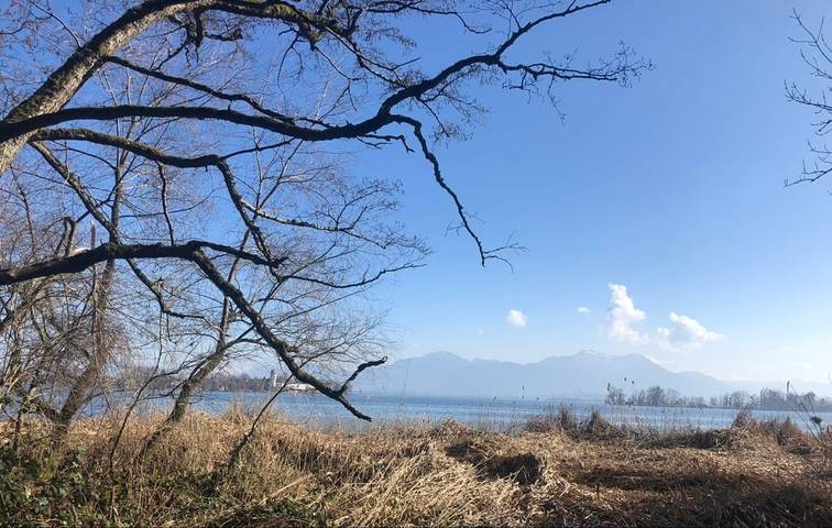 Apartamento vacacional entero, Ferienwohnung Sommerfrische - Ferienwohnung in Prien, Prien am Chiemsee