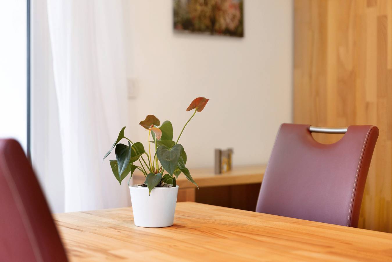 Ganze Wohnung, Geräumige Ferienwohnung Maja in Mössingen, Neckar-Alb