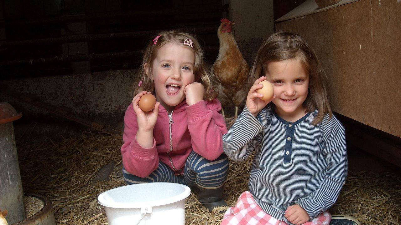 Ganze Ferienwohnung, Ferienwohnung für 4 Personen (60 m²) in Bispingen in Bispingen, Nordheide