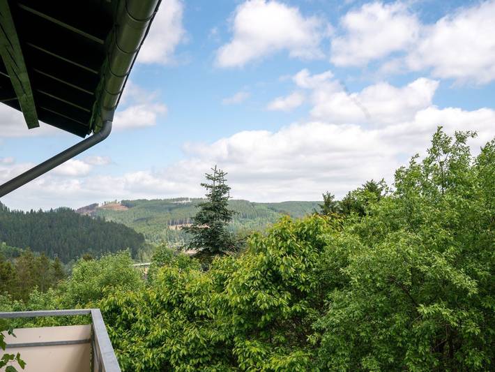 Ferienwohnung für 2 Personen, mit Garten und Ausblick sowie Seeblick, mit Haustier im Weserbergland - 2