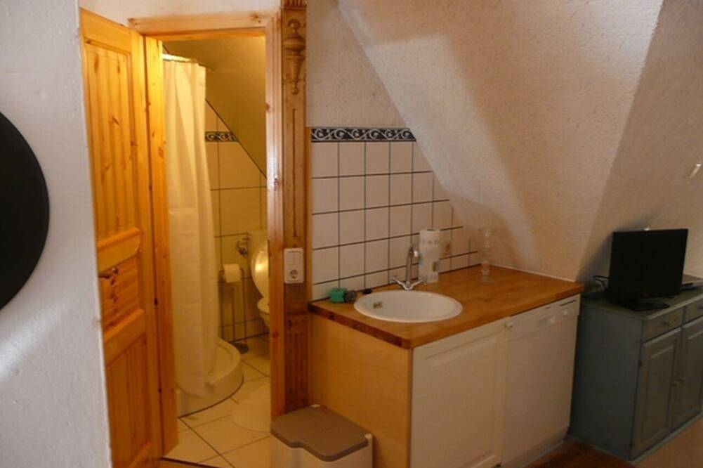 Ganze Wohnung, Reethaus Rosengarten - Strauchrose im Dg mit Kamin - max. 4 Pers. in Schaprode, Rügen