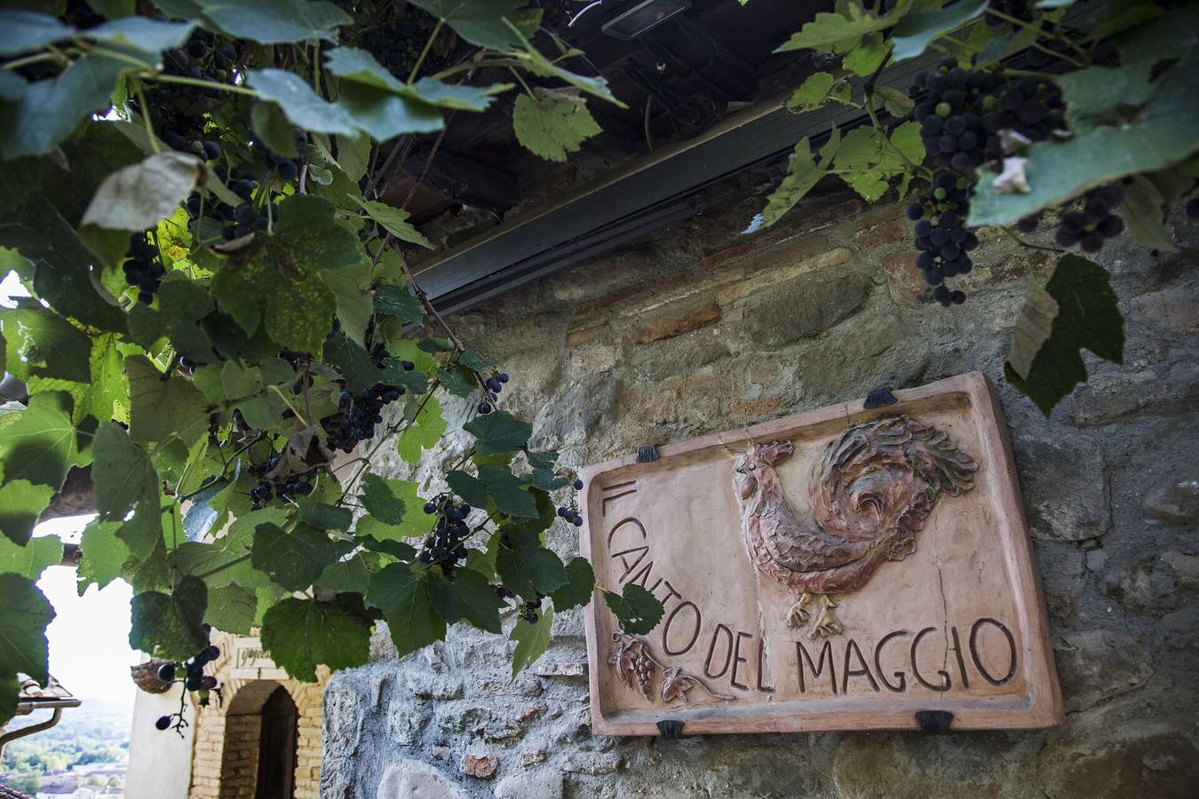 Residenz für 2 Personen mit Terrasse in Penna (Arezzo), Terranuova Bracciolini