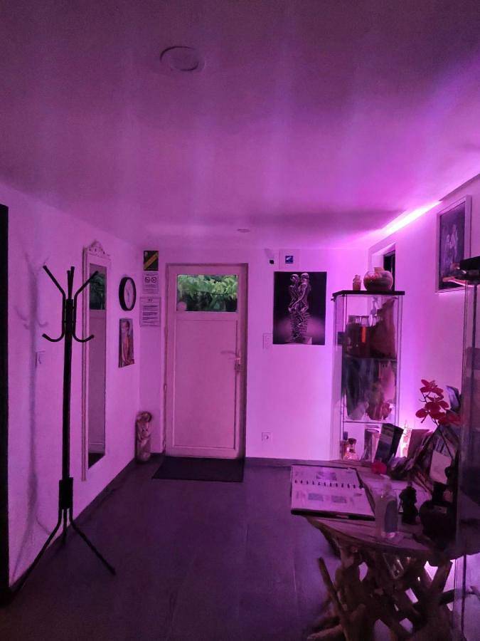 Maison d’hôte pour 2 personnes, avec jardin ainsi que piscine et jacuzzi dans le Tarn - 2