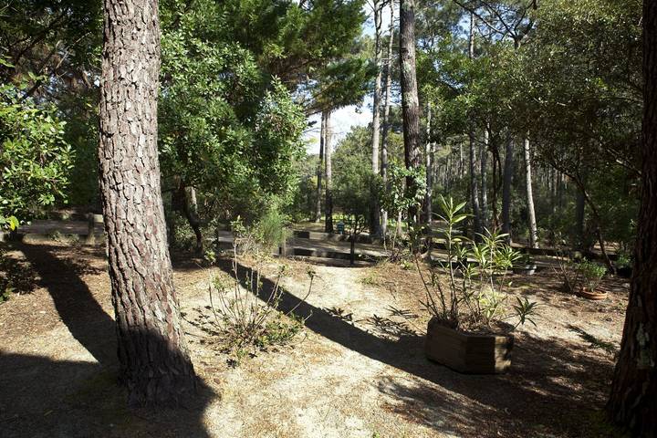 Gîte pour 5 personnes, avec jardin et terrasse, animaux acceptés dans Golf de la Méjanne - 4