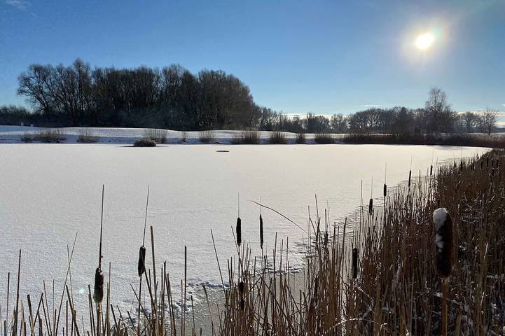 Ferienhaus für 6 Personen, mit Terrasse und Garten in Göhren-Lebbin - 4