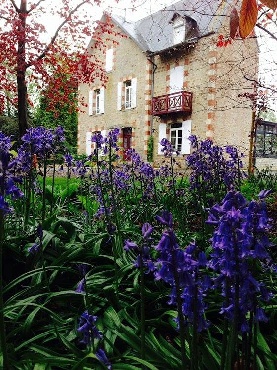 Chambre d’hôte pour 7 personnes, avec jardin, animaux acceptés dans la Manche - 2