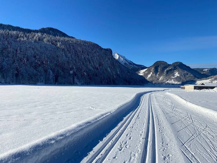 Ferienwohnung für 4 Personen, mit Sauna und Ausblick sowie Garten und Pool in Bizau