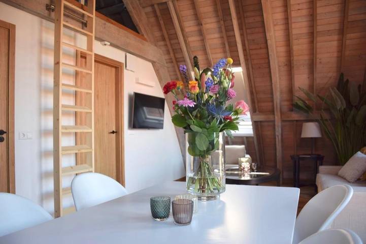 Gîte pour 6 personnes, avec terrasse et vue à Leiden - 4