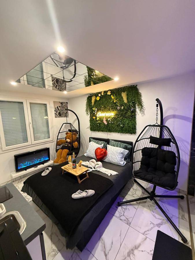 Gîte pour 2 personnes, avec sauna et vue à Choisy-le-Roi - 4
